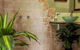 Whitsundays Bnb Retreat - thumb 7