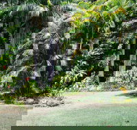 Sanctuary in The Pocket - VIC Tourism