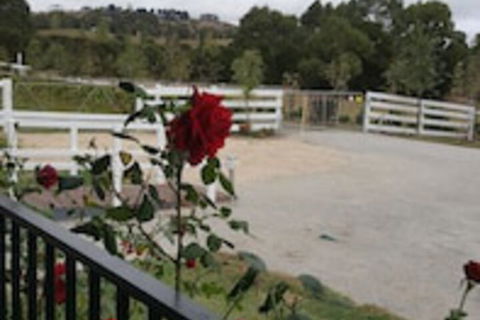 Silverbirch Cottage Loch - VIC Tourism 0