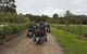 Silverbirch Cottage Loch - thumb 4