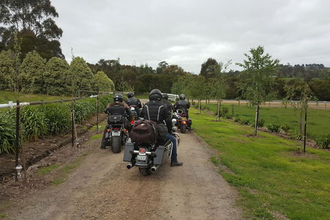 Silverbirch Cottage Loch - VIC Tourism 4