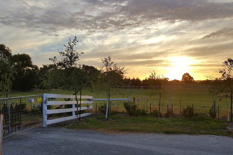 Silverbirch Cottage Loch - VIC Tourism 2
