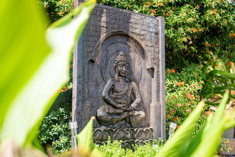 Austinmer - Cannonvale - VIC Tourism 1