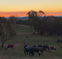 High Country Trail Rides  Farm Stay - VIC Tourism