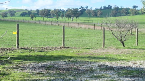 Yea Woodduck Cottage - VIC Tourism 0