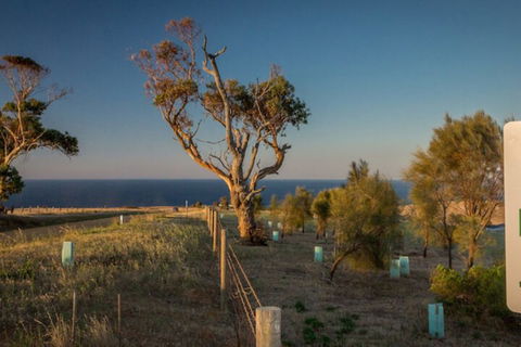 Fleurieu Coastal Retreat Lot 150 Myponga Beach Road - VIC Tourism 2