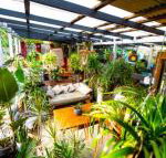 Jaspers Apartments - VIC Tourism