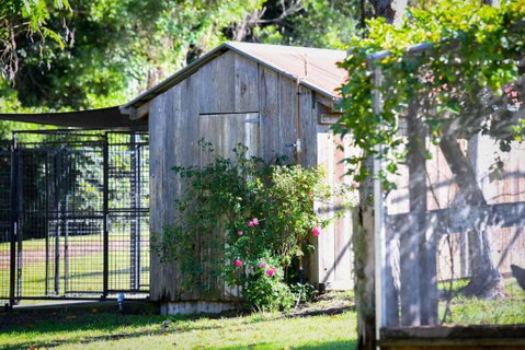 RayfieldsatBerry Kangaroo Valley - VIC Tourism 5