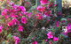 Mandalay House - thumb 6
