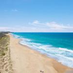 Jimmys Shout Pet Friendly - VIC Tourism 0