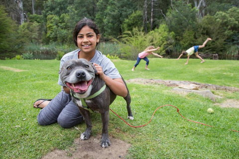 Warburton Holiday Park - VIC Tourism 4