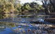 Springvale Homestead - thumb 1