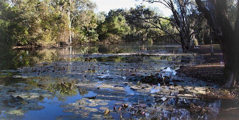 Springvale Homestead - VIC Tourism 1
