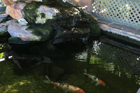 Quality Inn The Willows - VIC Tourism 3