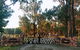 Villa Provence - thumb 2