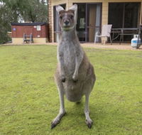 Yelverton Brook Conservation Sanctuary - VIC Tourism