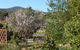 Mulberry Cottage B&B - thumb 3