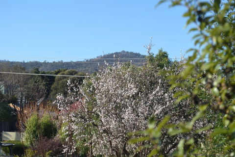 Mulberry Cottage B&B - VIC Tourism 5
