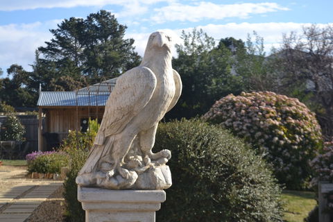 Mulberry Cottage B&B - VIC Tourism 4
