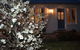 Mulberry Cottage B&B - thumb 6
