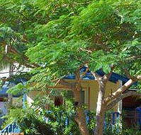 Amber Gardens Guesthouse - VIC Tourism