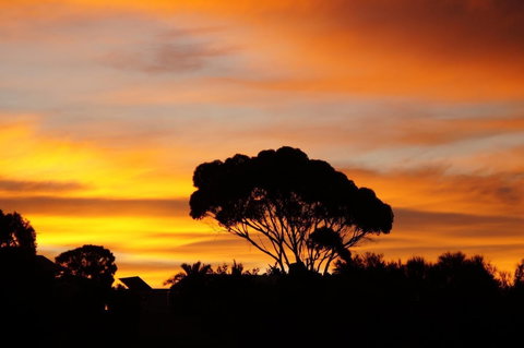 Lindsays Of Kangaroo Island - VIC Tourism 0