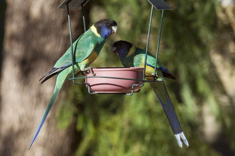 Kathys Place Bed And Breakfast - VIC Tourism 2