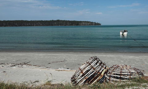 Rock Lobster - VIC Tourism 5