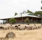 Gilgraves Vineyard Farmstay - VIC Tourism