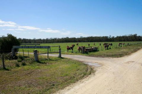 Brodribb River Rainforest Cabins Cabin 3 - VIC Tourism 7