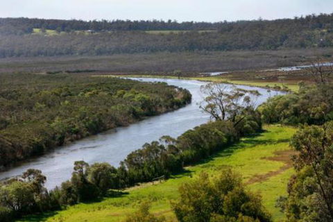 Brodribb River Rainforest Cabins Cabin 3 - VIC Tourism 5