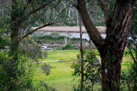 Brodribb River Rainforest Cabins Cabin 3 - VIC Tourism 3