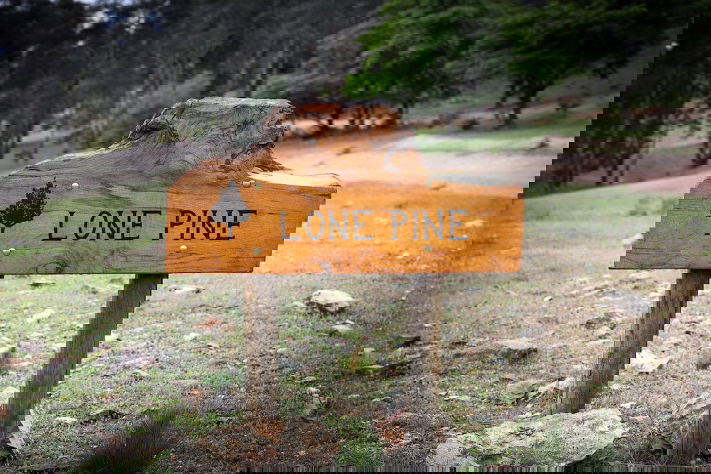 Meroo NSW VIC Tourism