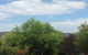 Costa Park Cottage Dio Armidale - thumb 3