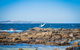 Cherrybush At Mystery Bay - thumb 5