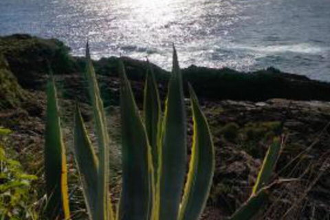 Ven & Marks Place - VIC Tourism 0