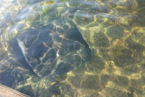 Ven & Marks Place - VIC Tourism 4