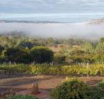 Pecan Hill BNB - VIC Tourism