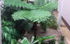 Jackies Studio Apartment - thumb 5