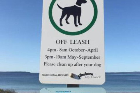 Drifters At Callala Beach - VIC Tourism 7