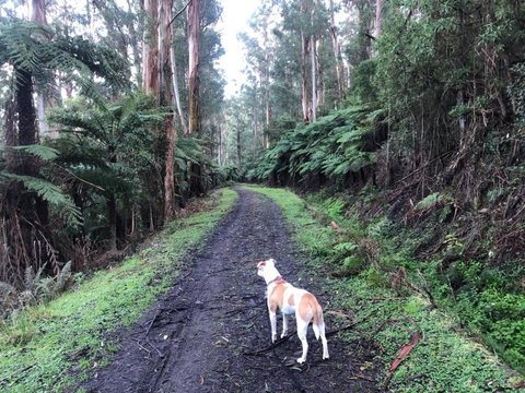 Warby Weekender - VIC Tourism 6