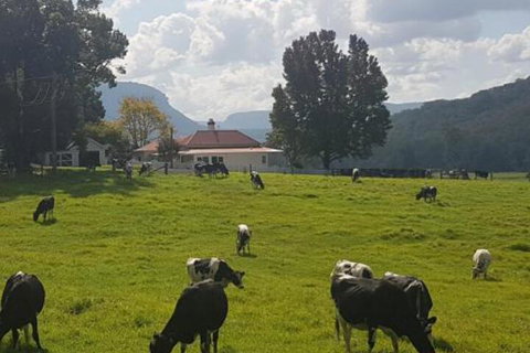 Glenmurray Country Farm Stay! - VIC Tourism 0