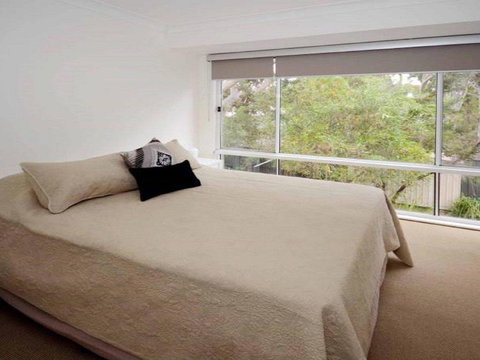 Scribbly Gum On Benton Bushland Setting - VIC Tourism 5