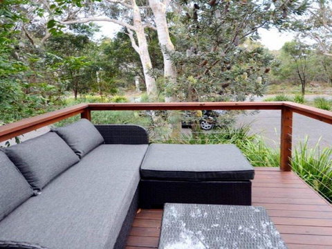 Scribbly Gum On Benton Bushland Setting - VIC Tourism 4