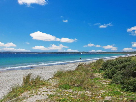 Scribbly Gum On Benton Bushland Setting - VIC Tourism 6
