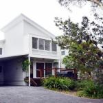 Scribbly Gum On Benton Bushland Setting - VIC Tourism 1
