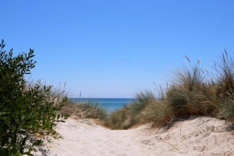 Bay Watch - VIC Tourism 5