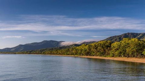 RED COWRIE 321atPALM COVE - VIC Tourism 3