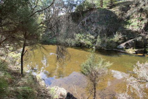 Alpine Streamside - VIC Tourism 3