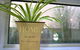Waterfront Villa In Sanctuary Lakes - thumb 5
